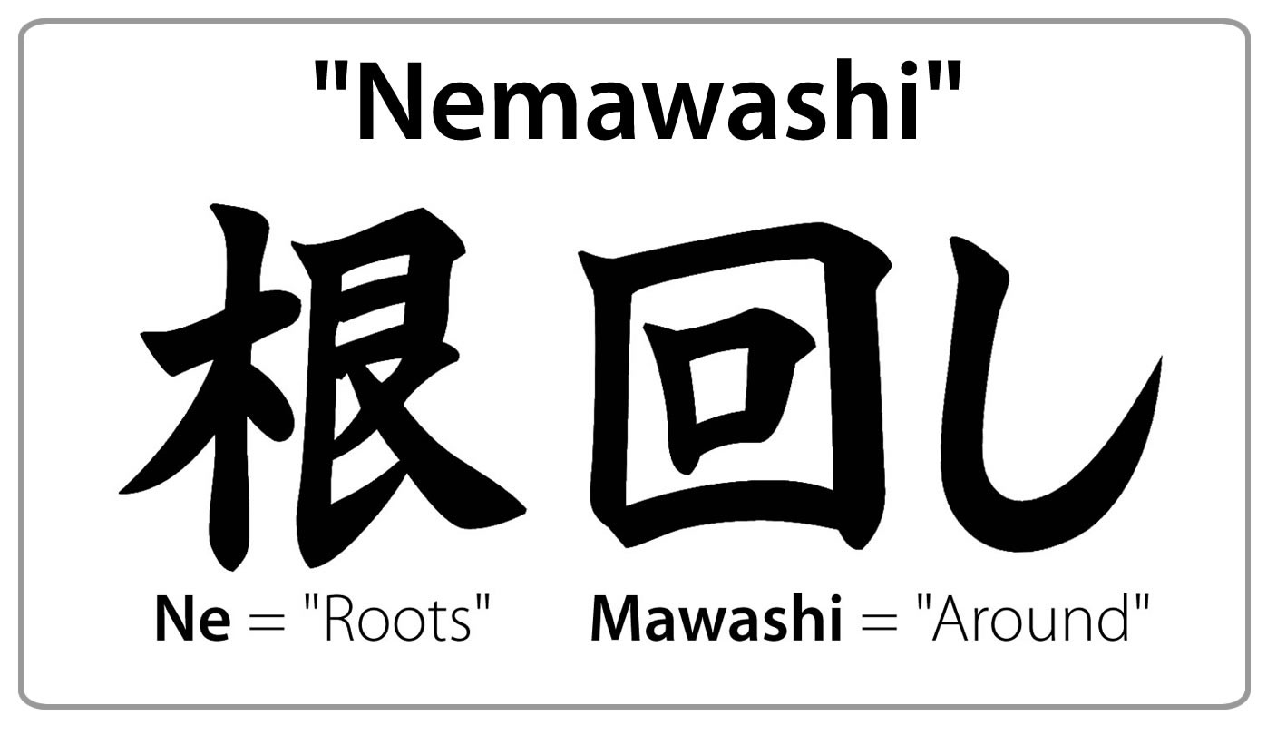 Nemawashi