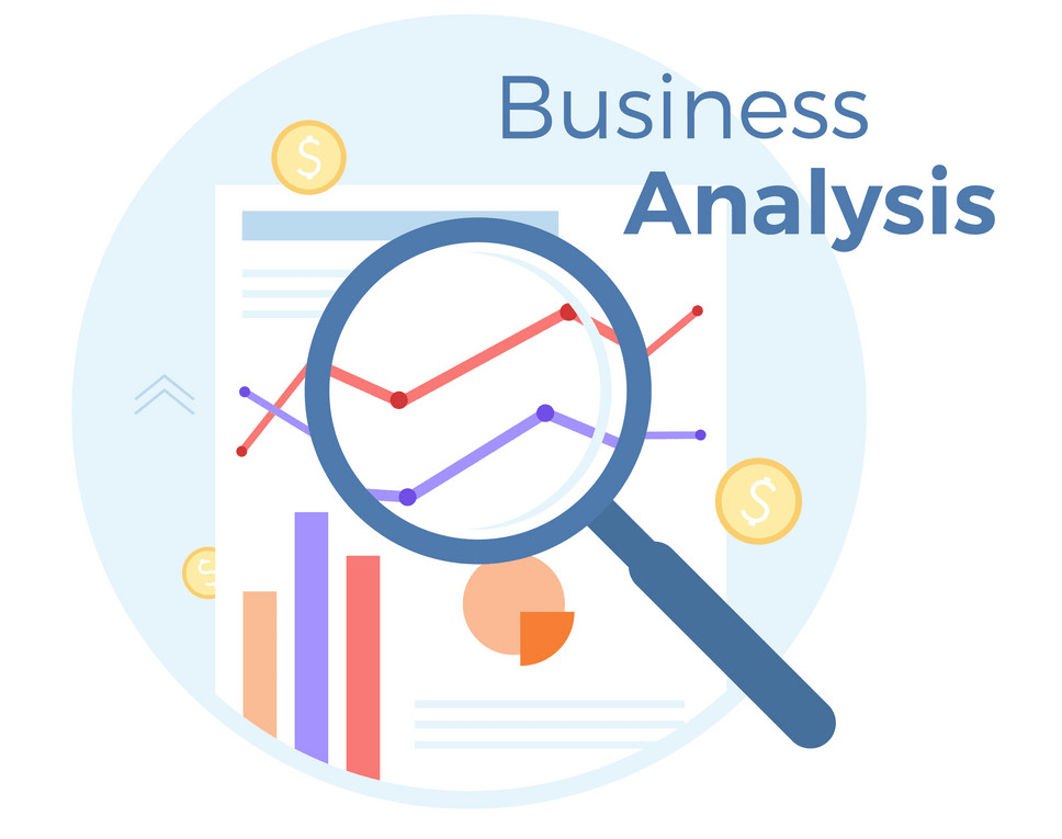 Business Analyst