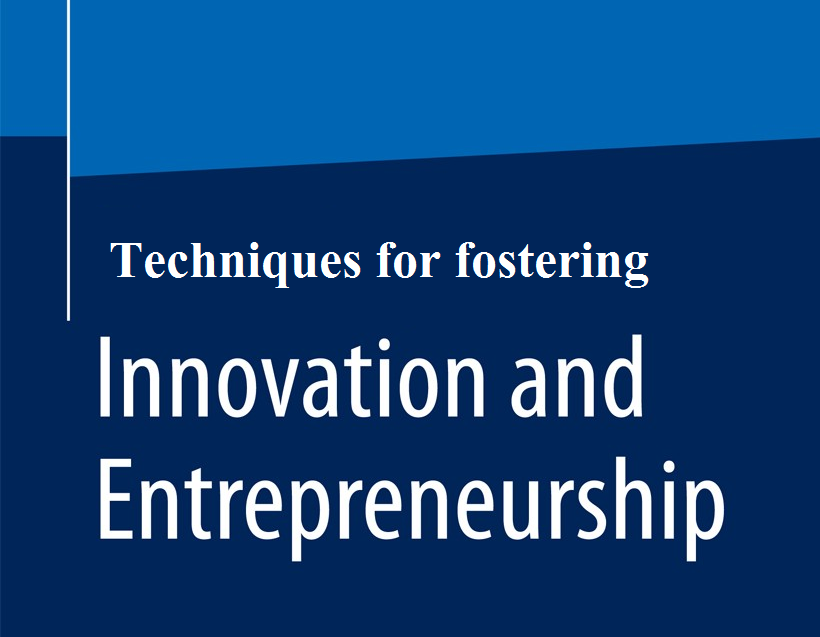 Techniques for fostering innovation and entrepreneurship